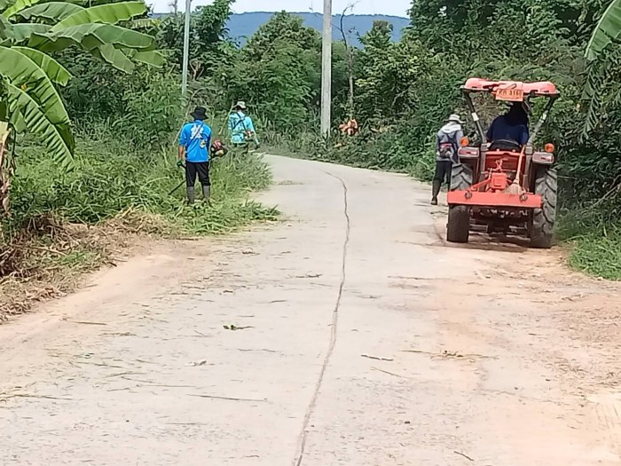 ตัดหญ้าถนนสละร่วมพัฒนา  หมู่ที่ 2 นำย...
