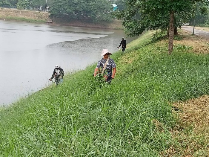 กองช่างฯ ดำเนินการตัดหญ้าทำความสะอาดบริเวณสระโบกธรณี หมู่ที่ 12 ตัดโค่นต้นคูณหน้าบ้าน และซ่อมแซมท่อน้ำประปา 