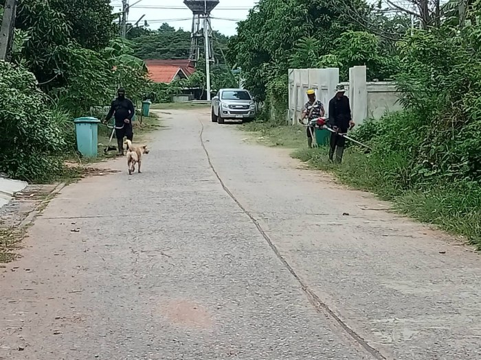กองช่างฯ ดำเนินการตัดหญ้าทำความสะอาดท...