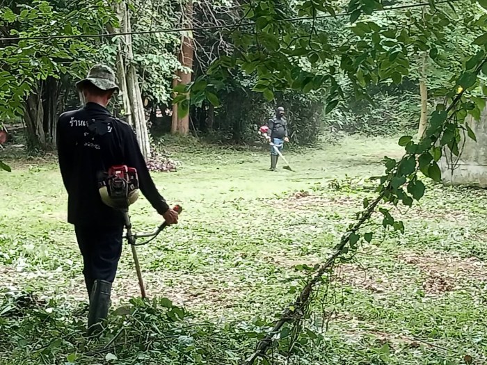 กองช่างเทศบาลตำบลกุดดู่ ตัดหญ้าทำความสtอาดด้านหลังบ้านพักในสำนักงานเทศบาลตำบลกุดดู่